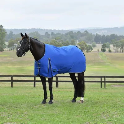 Image de WeatherBeeta ComFiTec Essential Turnout 220g - Taille 135 - Bleu