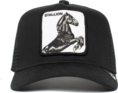 Produktbild von Goorin Bros. Little Stallion Kids Trucker Cap Black