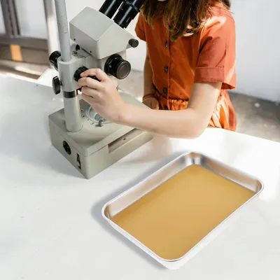 Produktbild von Edelstahl-Präparierschale mit Wachsbeschichtung für Schülerexperimente und Laborbedarf