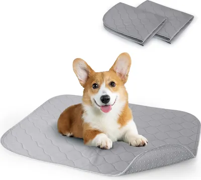 Produktbild von 2 Stück Waschbar Haustier-Urinunterlage,Trainingsunterlagen für Haustier Hundematte Bodenschutz Waschbare Wiederverwendbar rutschfeste ,75×89CM