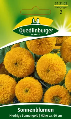 Produktbild von Sonnenblume Niedrige Sonnengold | Sonnenblumensamen von Quedlinburger