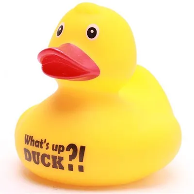 Produktbild von Badeente What's up Duck gelb Vinyl 7,5 cm