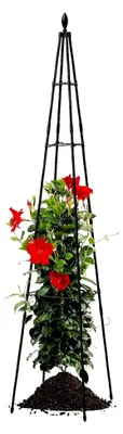 Produktbild von Rankgitter für Zimmerpflanzen - Metallische Rankhilfe für Gartenpflanzen