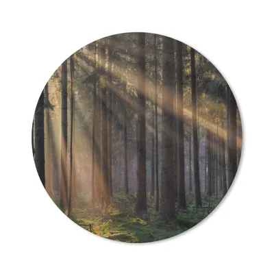 Produktbild von MuchoWow® Mauspad Mousepad Bäume - Wald - Sonne - Pflanzen 40x40 cm - Mousepads - Maus Mat - Pad - Mausunterlage - Schreibtisch Accessoires