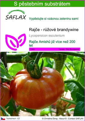 Obrázek produktu pro SAFLAX - Rajče - růžové brandywine - Lycopersicon esculentum - 10 Semena - S pěstebním substrátem bez klíčků