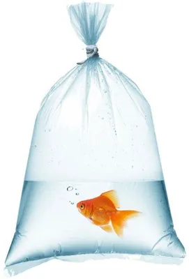 Productafbeelding van Aquariumzakken, 22x50 cm - 50 stuks.