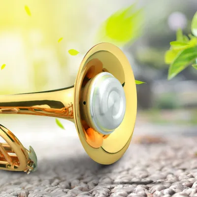 Produktbild von Trompetendämpfer, Trompetendämpfer, Übungsdämpfer, Übungsdämpfer für Trompete, Zubehör für Trompete, Musikinstrumententeil