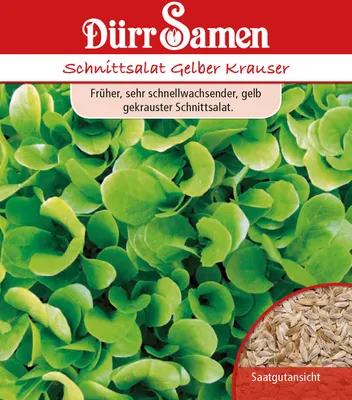 Produktbild von Schnittsalat Gelber Krauser | Schnittsalatsamen von Dürr Samen