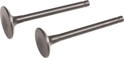 Zdjęcie produktu dla Zawory silnika Loncin kpl. LC2P73F LC2P76F CZĘŚĆ ORYGINALNA 500550103-0001
