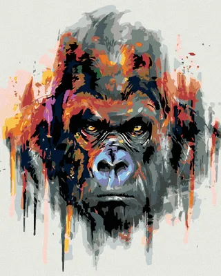 Produktbild von Zuty - Malen nach Zahlen - GORILLA, 40x50 cm, ohne Keilrahmen