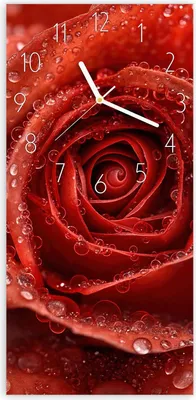Produktbild von Wanduhr aus Glas mit Motiv Wassertropfen Rose- 30 x 60 cm - inkl. Aufhängesystem