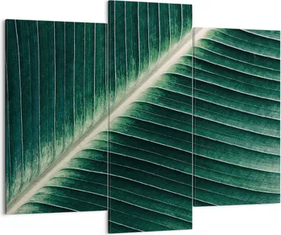 Produktbild von Bild auf Leinwand - Leinwandbild - 3 Teile - Grün Blatt Tropisch - 130x100cm - Wand Bild - Wanddeko - Wandbilder - Leinwanddruck - Bilder - Wanddekoration - Leinwand bilder - Wandbild - CB130x100-4126