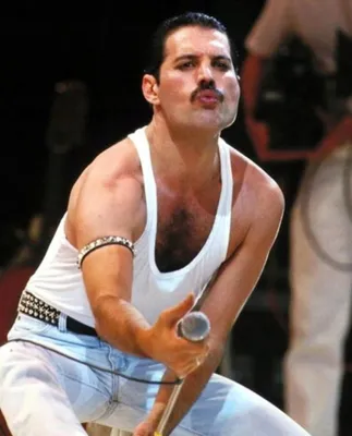 Obrázok produktu pre NORIMPEX Diamantov Malá pec Freddie Mercury 30x40cm