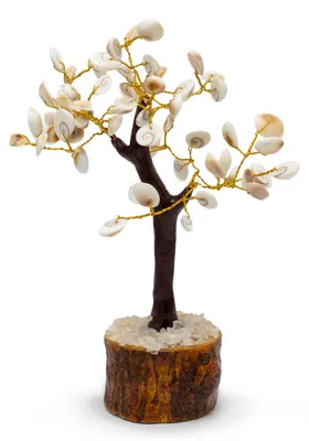 Imagen del producto de Gomati Chakra Árboles de Piedra Círculo Grande - (60 piedras)