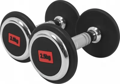 Produktbild von GORILLA SPORTS® Kurzhanteln - 2er Set, 5 kg (2x2,5 kg), aus Gusseisen, Gummiert, Griff gerändelt, rutschfest - Rundhanteln, Kurzhantelset, Hantel Set, Gewichte, Dumbbells