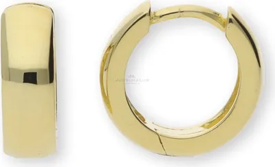 Produktbild von JuwelmaLux Creolen 925 Silber Gold plattiert JL10-06-0469