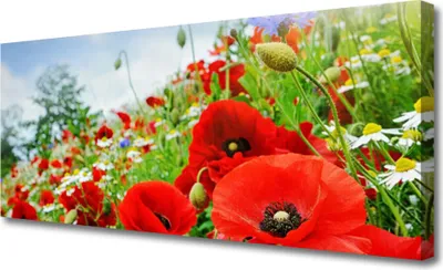 Imagen del producto de Cuadros decorativos de lienzo, 125x50 cm, impresión artística sobre lienzo, motivos de flores y naturaleza