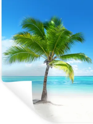 Produktbild von MuchoWow® Wandtattoo Wandsticker Wandaufkleber Palme - Strand - Meer - Sommer 90x120 cm Selbstklebend und Repositionierbar - Faltenfrei