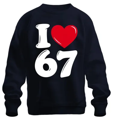 Immagine prodotto di Felpa con scritta "Amo i 67 anni", idea regalo per il compleanno, stile sarcastico, colore blu navy, taglia L