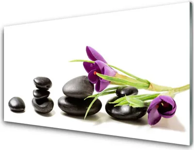 Produktbild von Acrylglasbilder 100x50 Wandbild Druck Blumen Steine Kunst
