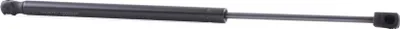 Produktbild von RIDEX 219G0405 Gasfeder Heckklappendämpfer für OPEL Astra H GTC (A04) 479mm