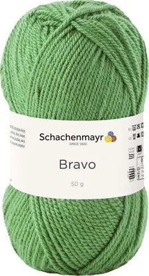 Obrázek produktu pro Schachenmayr Bravo, 50 g příze Farn pro ruční pletení