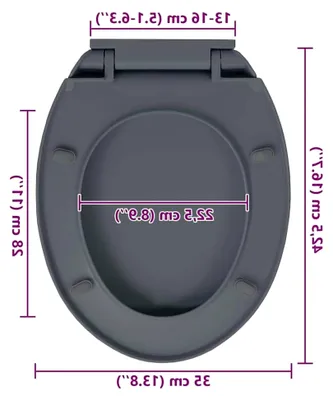 Produktbild von Toilettensitz mit Absenkautomatik Softclose und Schnellverschluss in Grau, oval