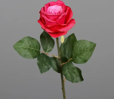 Produktbild von künstliche Rose mit Blättern H. 48cm pink DPI Kunstblumen