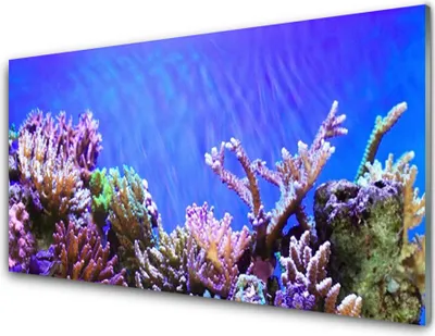 Produktbild von Acrylglasbilder 100x50 Wandbild Druck Korallenriff Natur