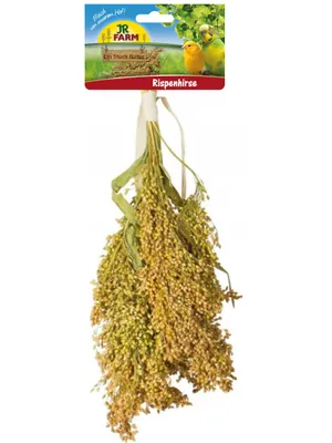 Image de JR FARM Millet en épis à grignoter pour tous les perroquets 400 g