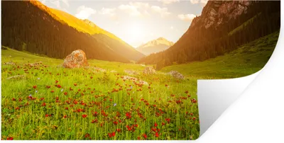 Produktbild von MuchoWow® Wandtattoo Wandsticker Wandaufkleber Blumen - Berg - Sonne 160x80 cm Selbstklebend und Repositionierbar - Sticker - Dekorfolie