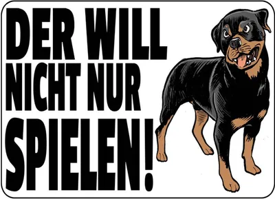 Produktbild von vianmo Holzschild 30x40 cm Hund will nicht nur spielen
