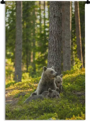Produktbild von MuchoWow® Wandteppich Wandbehang Bär - Braun - Wald 60x90 cm Tapisserie Dekoration Wandtuch - Foto-Teppich - Abwaschbar