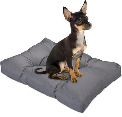 Produktbild von Famanu Hundebett 75 x 50 cm - wasserabweisend und waschbar - grau