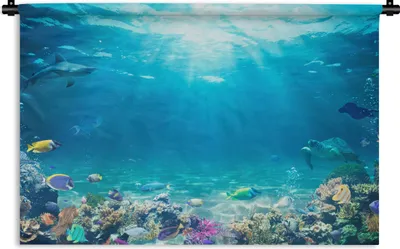 Produktbild von MuchoWow® Wandteppich Wandbehang Unterwasserwelt - Meerestiere - Wasser - Korallen - Blau 150x100 cm Tapisserie Dekoration Wandtuch - Waschbar - Tapisserien - Wand-Decke