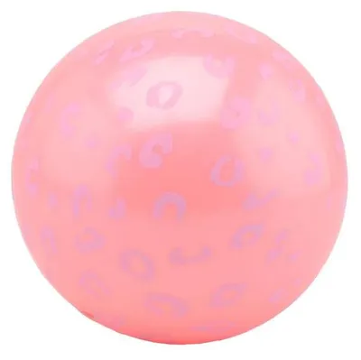 Image de Jouer au ballon avec imprimé léopard
