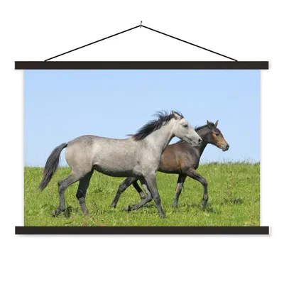 Produktbild von MuchoWow® Textilposter Pferde - Tiere - Gras 90x60 cm mit schwarzem Rahmen - Aufhängungssatz