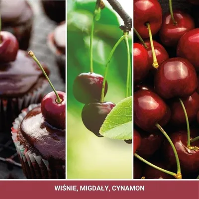 Zdjęcie produktu dla Yankee Candle Black Cherry 10 ml