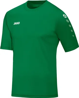 Produktbild von Trikot Team KA JAKO