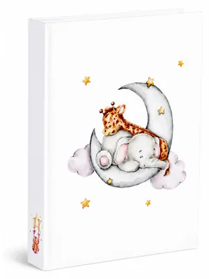 Produktbild von My Friends Memo Einsteckalbum für 300 Fotos 10x15 cm – Fotoalbum mit Beschriftungsfeldern, Einstecktaschen, Memo-Funktion, Familienalbum für Babyfotos & Kinderfotos - Farbe: Elefant & Giraffe