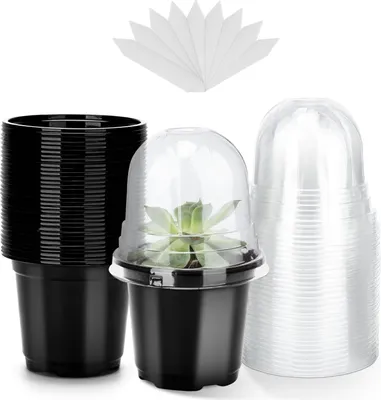 Produktbild von Anzuchttopf 10 cm, 12 Stück, Kunststoff, transparenter Deckel, für Anzucht