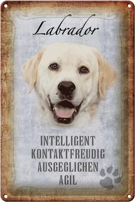 Produktbild von Blechschild Spruch 20x30cm Labrador Hund Schild