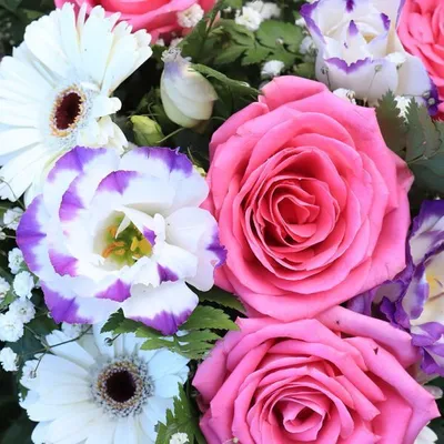 Produktbild von 240 Duni Tissue-Servietten 33 x 33 cm Garden Florals 3-lagig