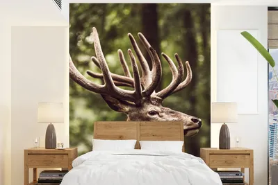 Produktbild von MuchoWow® Fototapete für Wohnzimmer oder Schlafzimmer Wandtapete Vinyl Motivtapete Hirsch - Natur - Geweih - Wald - Tiere - 190x260 cm - Papiertapete