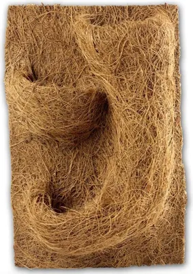 Produktbild von Pflanzenhintergrund für Terrarium 20x30x1cm grün dekorativ