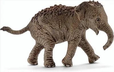 Image de SCHLEICH 14655 - Bébé éléphant d'Asie
