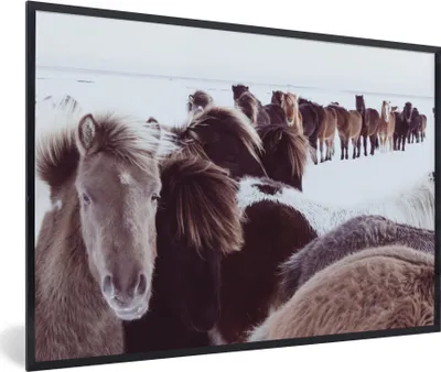 Produktbild von MuchoWow® MuchoWow® Gerahmtes Poster Pferde - Schnee - Weiß 90x60 cm - Poster mit zchwarzem Bilderrahmen - Fotorahmen - Foto-Plakat