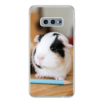 Produktbild von MuchoWow® Handyhülle Schutzhülle Hülle für Samsung Galaxy S10e Entzückende Baby-Meerschweinchen Silikon Softcase Handy Hülle - Handy