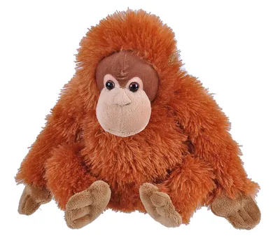 Produktbild von kuscheltier primevalang junior 20 cm Plüsch braun