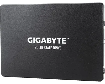 Produktbild von GIGABYTE GP-GSTFS31100TNTD, 1 TB, 2.5", 550 MB/s
